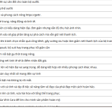 Bi-quyet-chn-nhn-n-di-tiec-giup-phai-dp-ta-sang-5