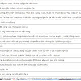 Tu-vn-cach-bao-quan-va-cham-soc-nhn-kim-cuong-nam-ben-dp-4