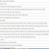 kim-cuong-1-ly-3