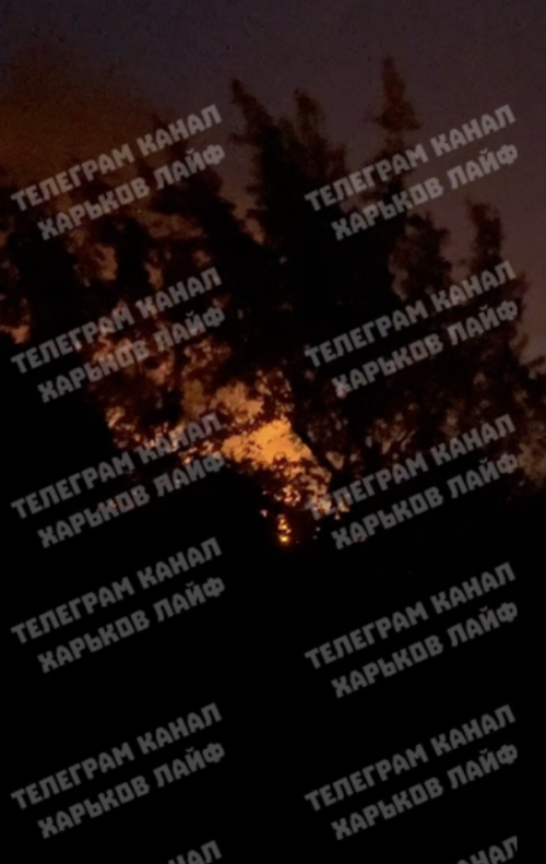 Screenshot-2025-07-02-at-14.52.09.png