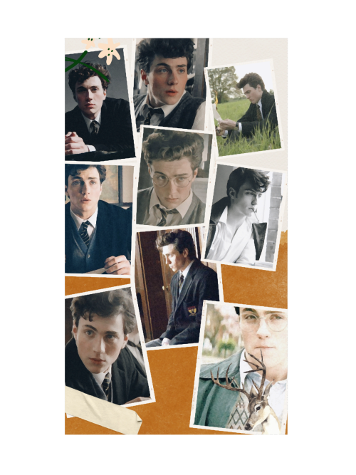 James-Potter-Collage-Premium.png