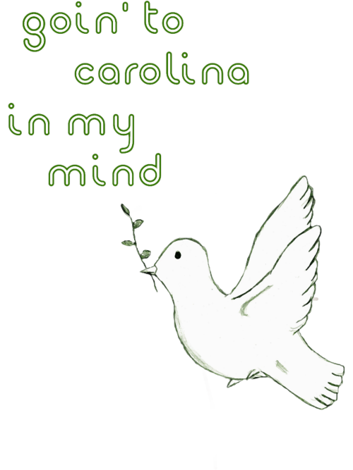 Quote-Legend-Fan-Of-JamesMusician-RockThe-Vintage-Guitarist-Taylor.png