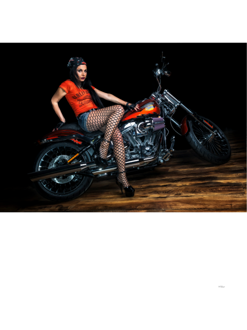 Biker-Girl-Pin-Up.png