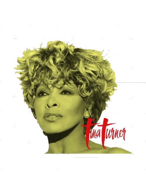 Tina-Turner-Retro.png