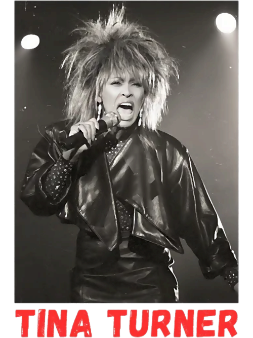 Tina-Turner.png
